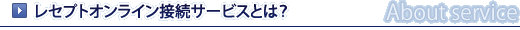 ���Z�v�g�I�����C���ڑ��T�[�r�X�Ƃ́H